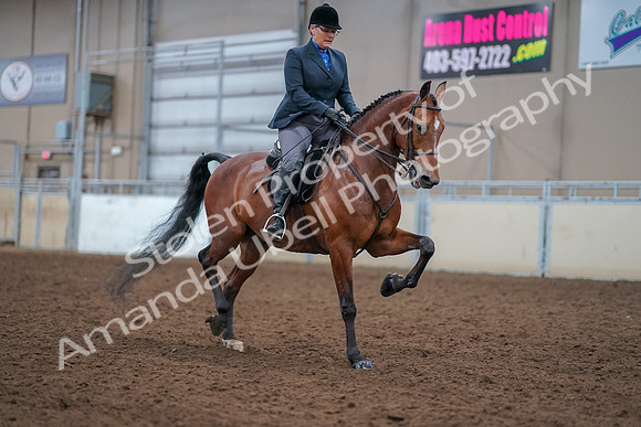 2019 Morgan Horse Show - Aug 30, 2019 - 20893