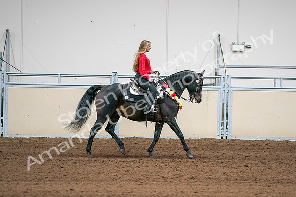 2020 - AB Morgan Horse - Sat, Sept 05 - 10476