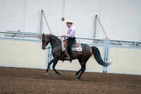 2020 - AB Morgan Horse - Fri, Sept 04 - 00545