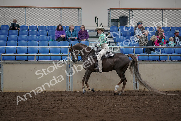 2019 Morgan Horse Show - Aug 30, 2019 - 26079