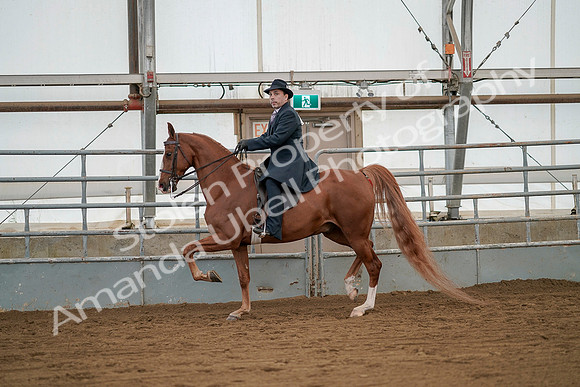 July 20, 2019 - 02099