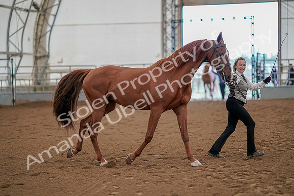 July 19, 2019 - 883