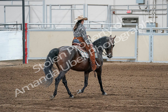 2020 - AB Morgan Horse - Fri, Sept 04 - 00442