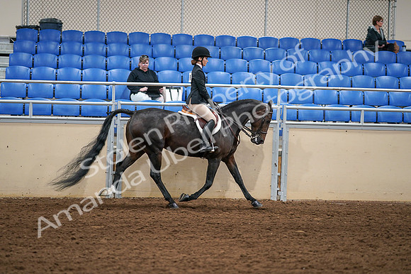 2020 - AB Morgan Horse - Fri, Sept 04 - 02166