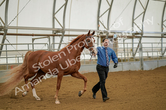 July 19, 2019 - 890