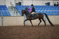 2019 Morgan Horse Show - Aug 30, 2019 - 19874