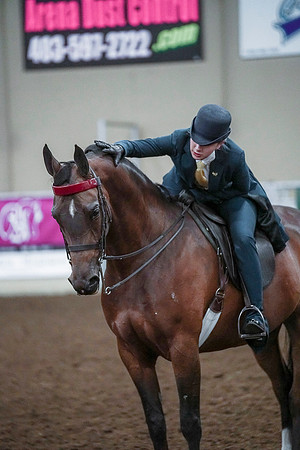 Spring Fling - Saturday - April 20, 2019  -  00865