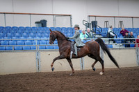 2019 Morgan Horse Show - Aug 30, 2019 - 17774