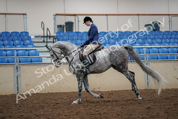 2019 Morgan Horse Show - Aug 30, 2019 - 22350