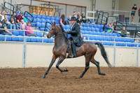 2020 - AB Morgan Horse - Sat, Sept 05 - 07904