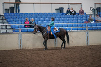 2019 Morgan Horse Show - Aug 31, 2019 - 16308