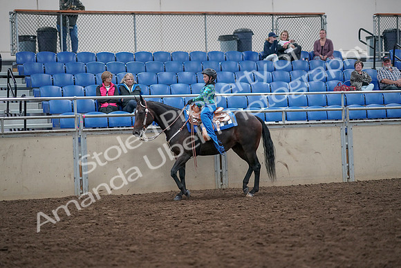 2019 Morgan Horse Show - Aug 31, 2019 - 16308