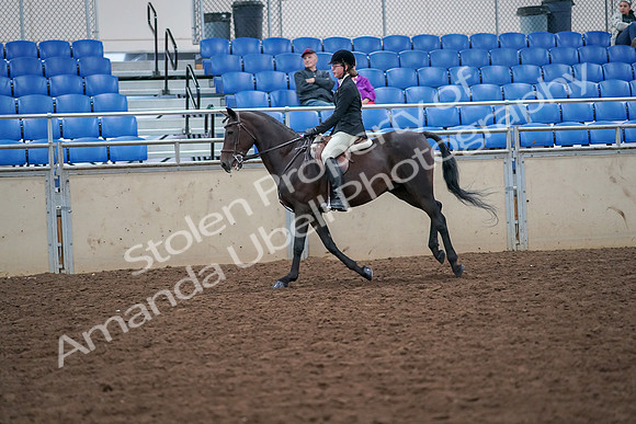 2019 Morgan Horse Show - Aug 30, 2019 - 20537