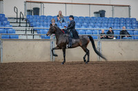 2019 Morgan Horse Show - Aug 30, 2019 - 15290