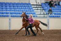 2020 - AB Morgan Horse - Sat, Sept 05 - 00547