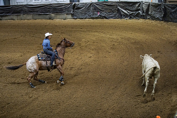 DSC00763