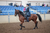 2019 Morgan Horse Show - Aug 31, 2019 - 18013