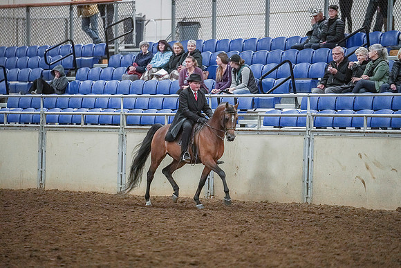 Spring Fling - Saturday - April 20, 2019  -  03933