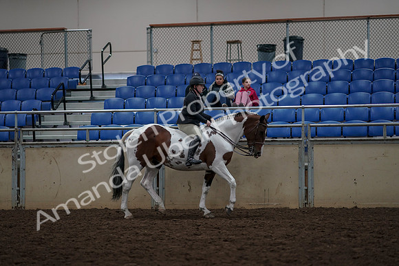 2019 Morgan Horse Show - Aug 30, 2019 - 31410