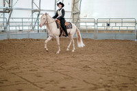 Class 064 - All Breed Western Pleasure -Open