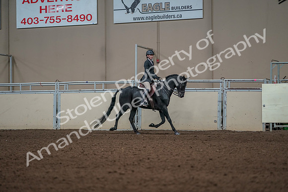 2019 Morgan Horse Show - Aug 31, 2019 - 05166