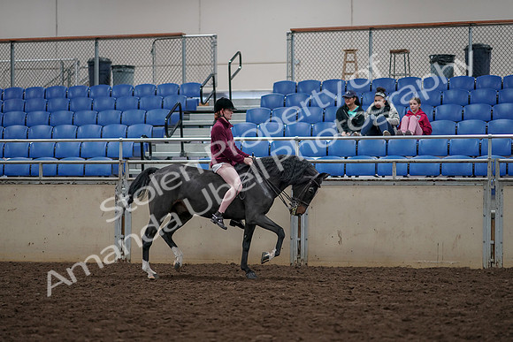 2019 Morgan Horse Show - Aug 30, 2019 - 31354