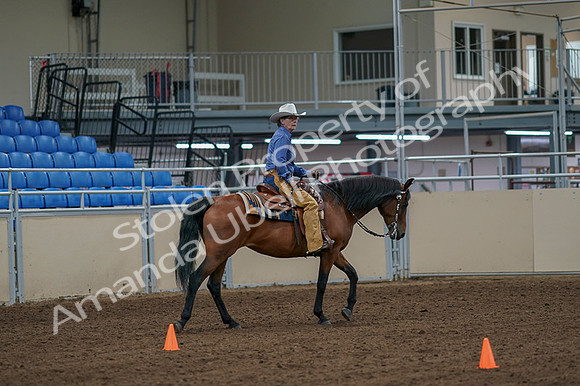 2020 - AB Morgan Horse - Fri, Sept 04 - 00295