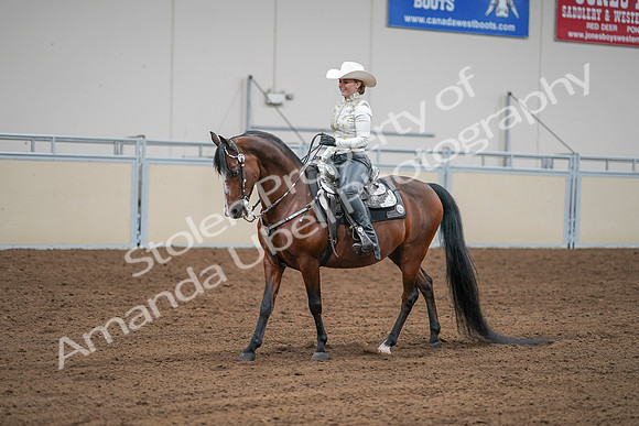 2020 - AB Morgan Horse - Sat, Sept 05 - 09039