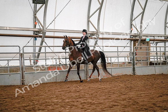 July 19, 2019 - 8748