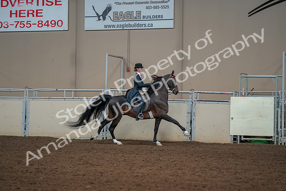 2019 Morgan Horse Show - Aug 30, 2019 - 25325