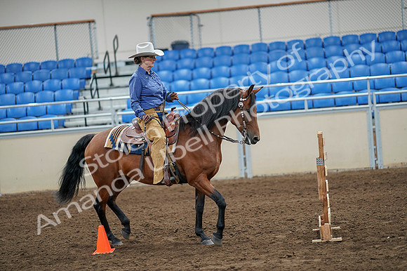 2020 - AB Morgan Horse - Fri, Sept 04 - 00286