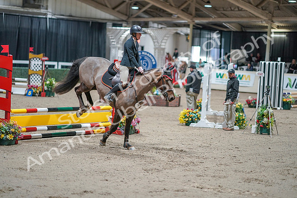 2020 - Spruce Meadows - FCI - Fri, Feb 07 - 00575