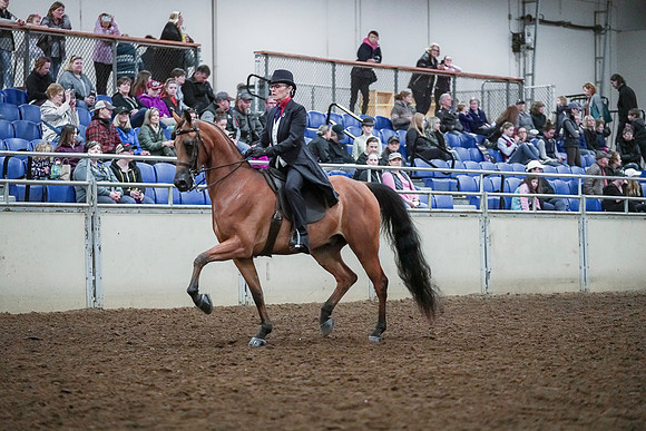 Spring Fling - Saturday - April 20, 2019  -  00665