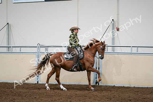 2020 - AB Morgan Horse - Sat, Sept 05 - 08929