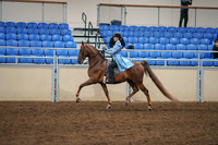 2020 - AB Morgan Horse - Sat, Sept 05 - 03317