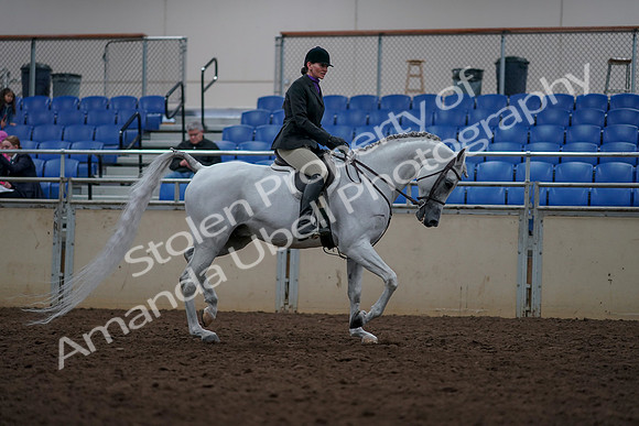 2019 Morgan Horse Show - Aug 31, 2019 - 16203