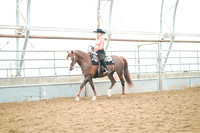 Class 046 - Morgan Western Pleasure - Amateur