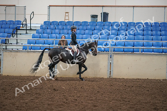 2019 Morgan Horse Show - Aug 30, 2019 - 12450