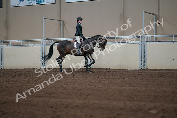 2019 Morgan Horse Show - Sept 01, 2019 - 03843