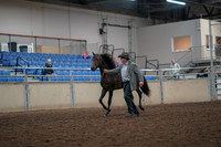 2019 Morgan Horse Show - Aug 31, 2019 - 03374