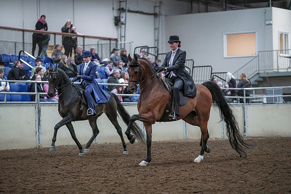Spring Fling - Saturday - April 20, 2019  -  00698