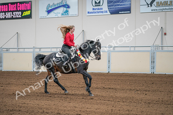 2020 - AB Morgan Horse - Sat, Sept 05 - 10552