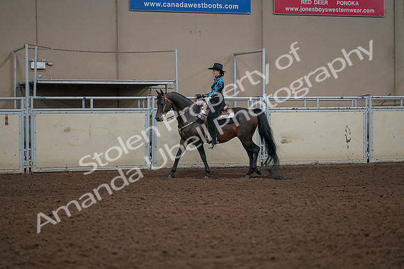 2019 Morgan Horse Show - Aug 30, 2019 - 26114