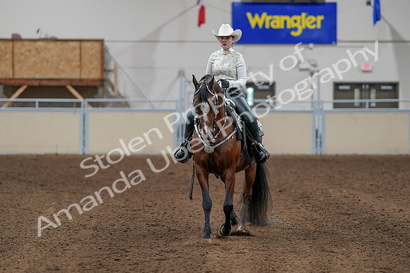 2020 - AB Morgan Horse - Sun, Sept 06 - 07609