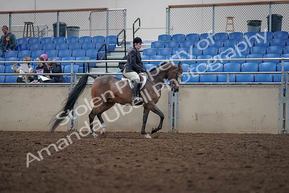 2019 Morgan Horse Show - Aug 31, 2019 - 16174