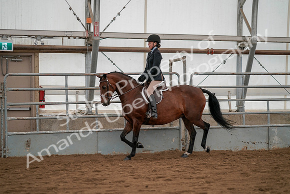 July 19, 2019 - 3911
