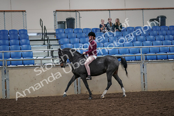 2019 Morgan Horse Show - Aug 30, 2019 - 31151