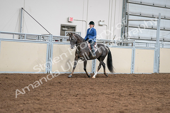 2020 - AB Morgan Horse - Sat, Sept 05 - 04982