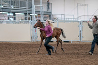 2020 - AB Morgan Horse - Sat, Sept 05 - 00465