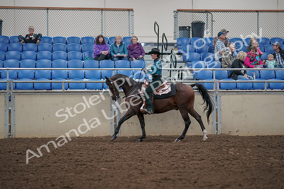 2019 Morgan Horse Show - Aug 30, 2019 - 26066